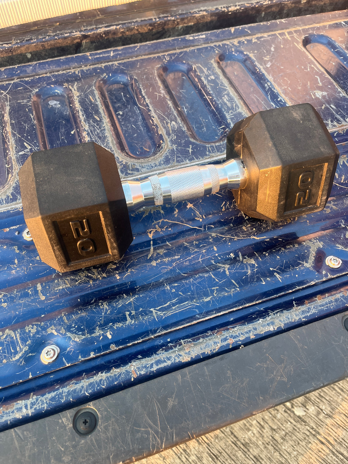 20lb curl weight