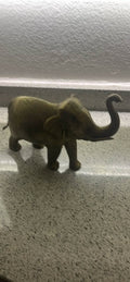Peuter Elephant 8” tall x 10” long x 3” wide