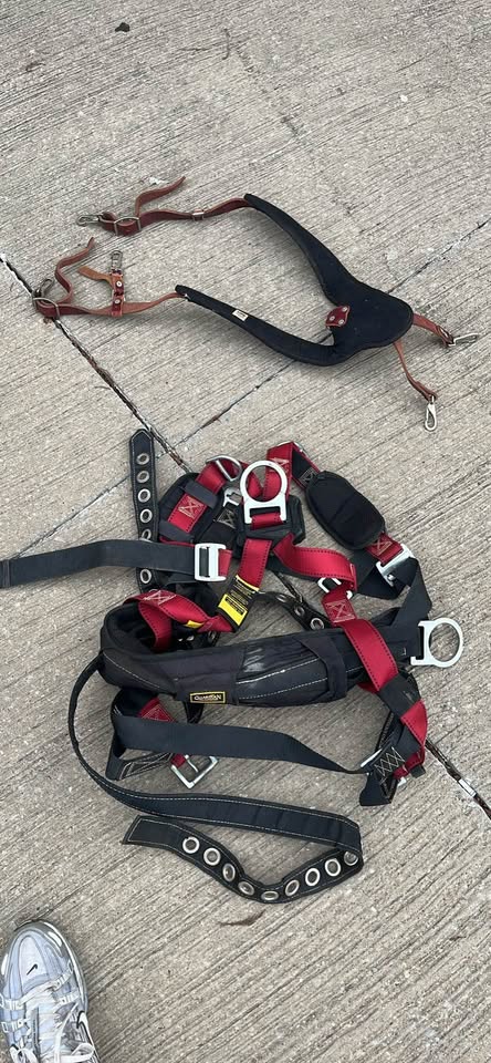 full-body harness with a built-in work-positioning/waist pad and 3 D-rings (1 dorsal/back + 2 side) - image 2