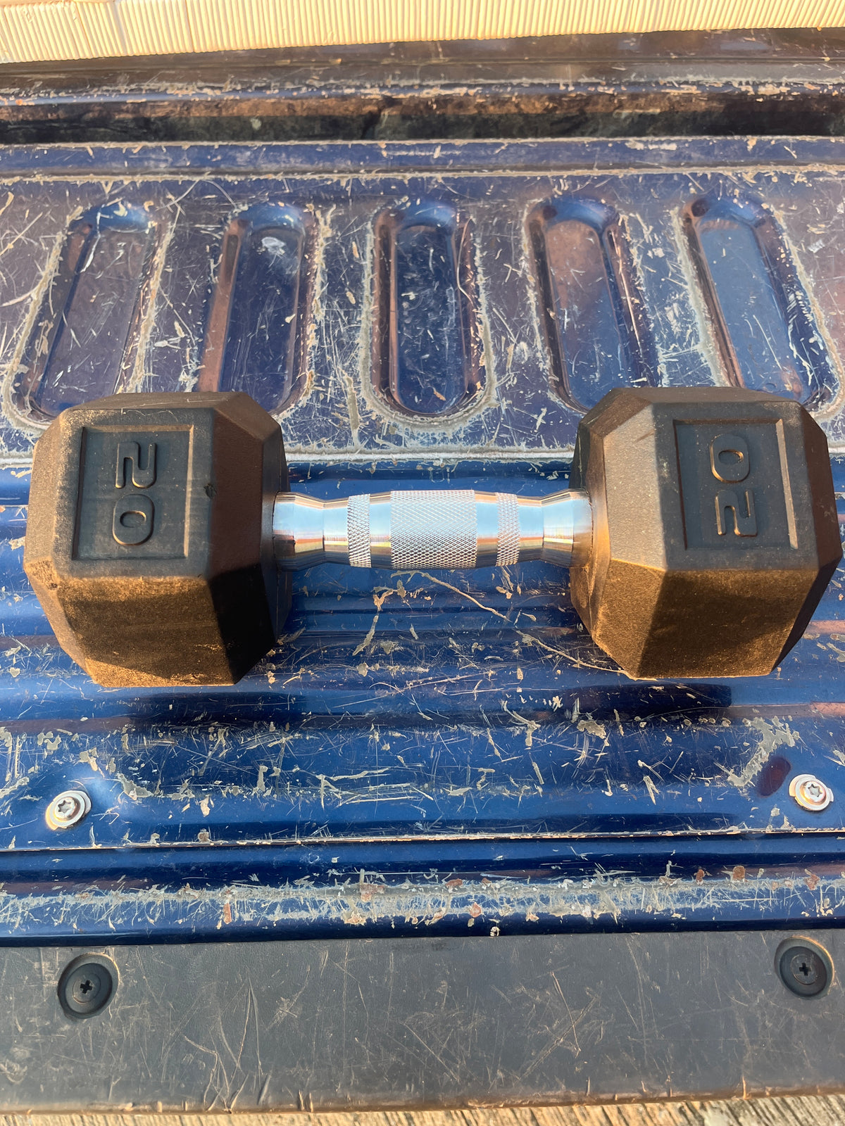 20lb curl weight